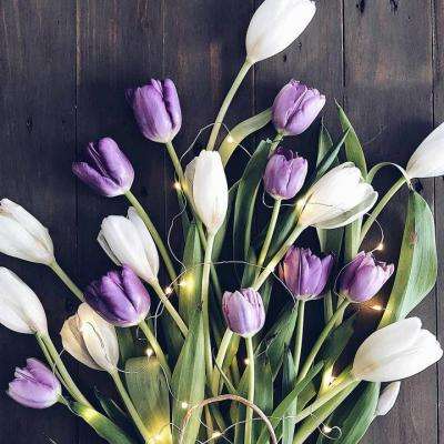 2278游戏客户端下载正版手游app截图